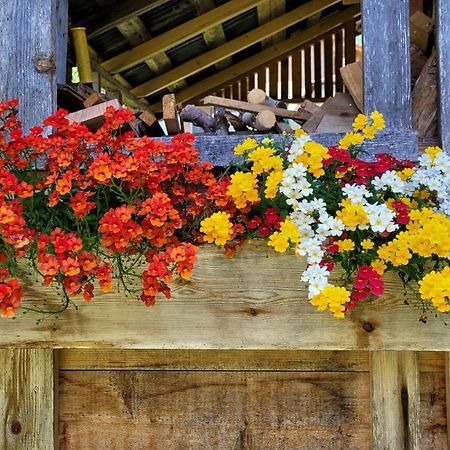 La Gerla Casa Vacanze Dolomiti Perarolo di Cadore المظهر الخارجي الصورة